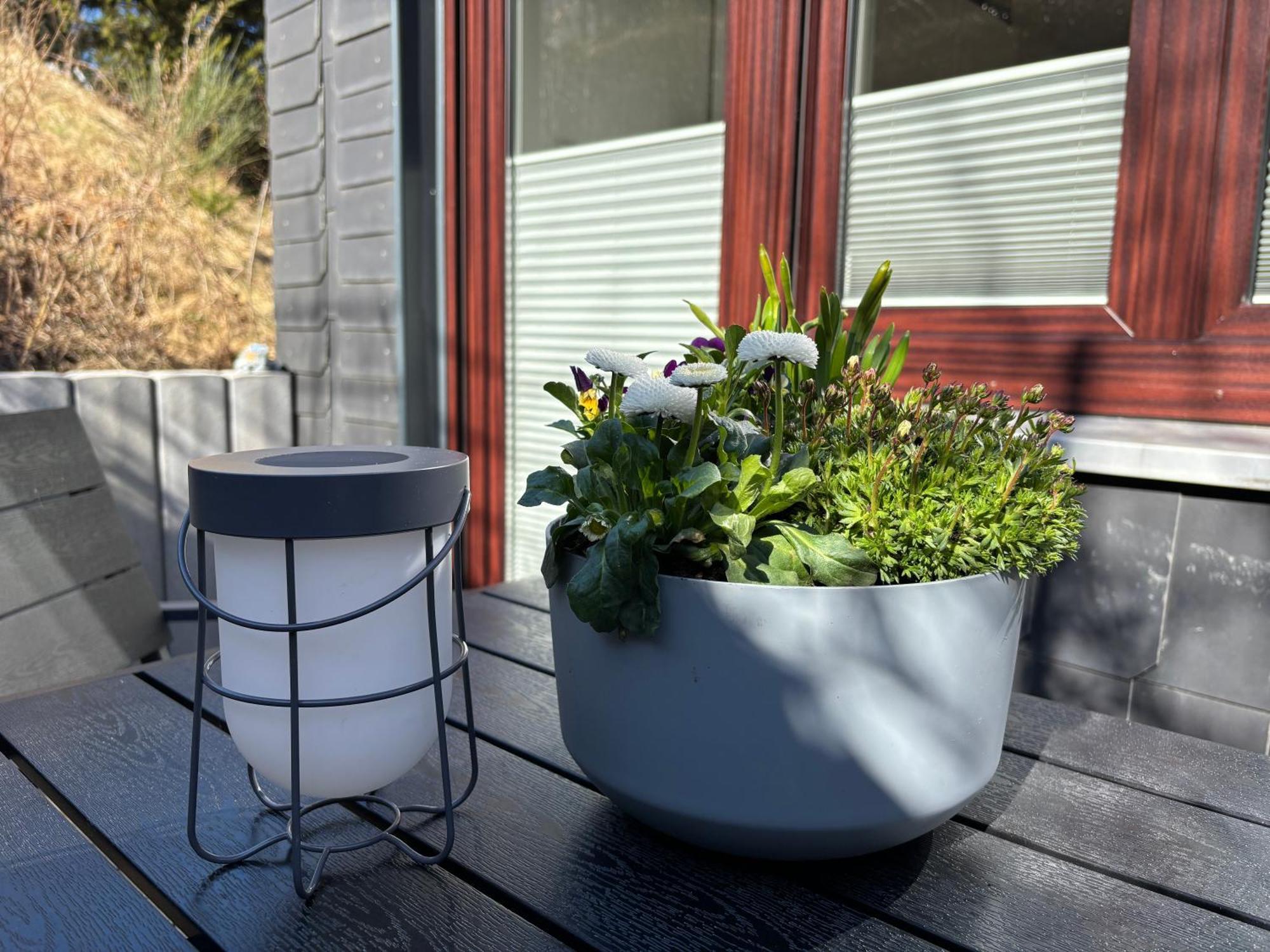 Dein Winterberg Apartment - Wifi Geschirrspueler Smart Tv Pokój zdjęcie